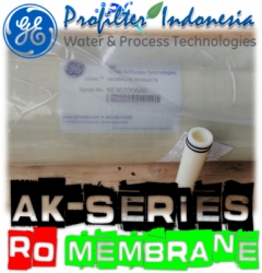 d d GE Osmonics AK Series RO Membrane Ultraviolet Indonesia  large