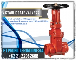 d d d Victaulic Gate Valve 771 Profilter Indonesia  large