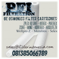 d d d d d GE Osmonics Purtrex Filter Cartridges Indonesia  large