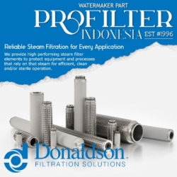 donaldson steam filter cartridge large